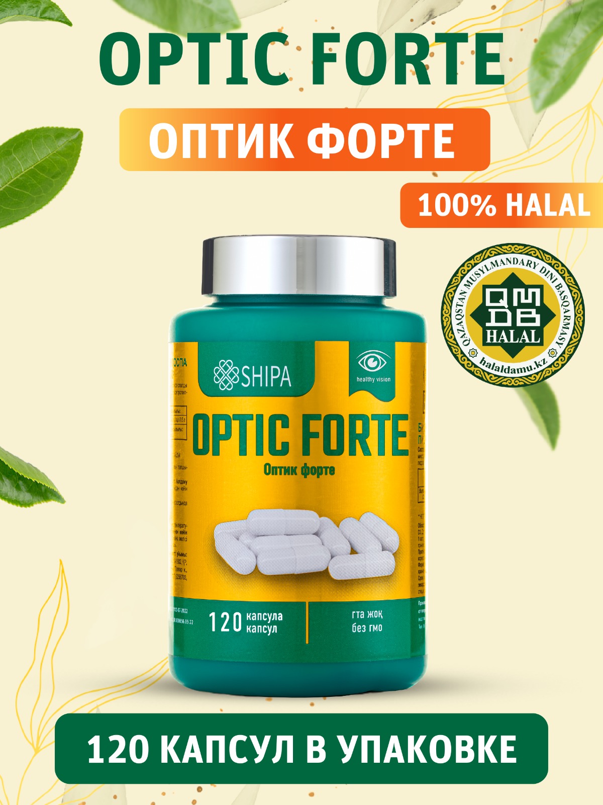 WhatsApp Image 2025-12-19 at 14.52.11 (1)